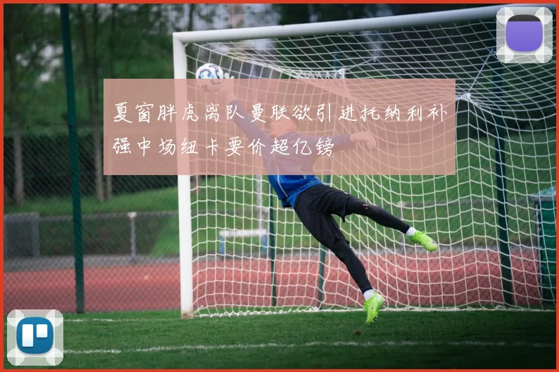 夏窗胖虎离队曼联欲引进托纳利补强中场纽卡要价超亿镑